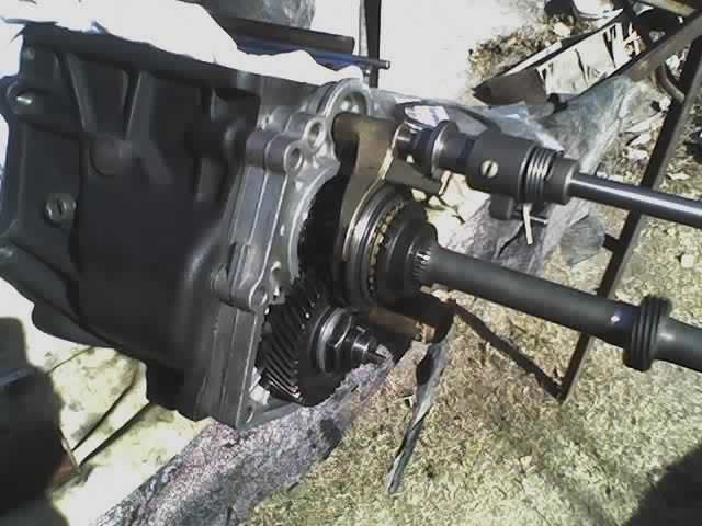 Imagen