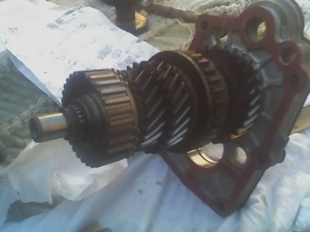 Imagen