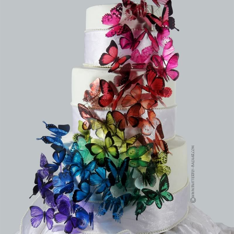 butterfly wedding programs