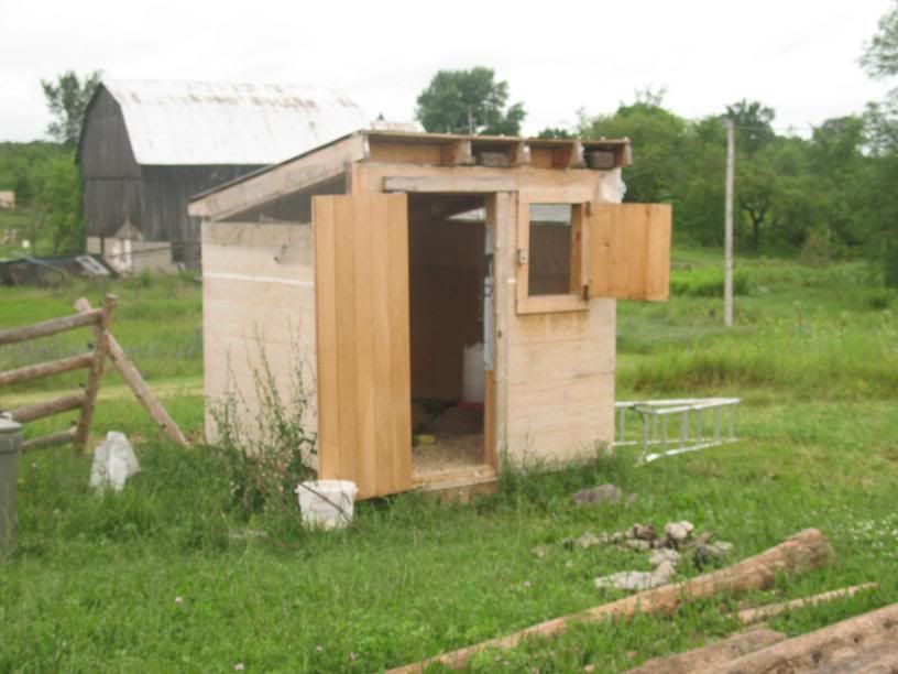 Chicken Coop Remodel UPDATE: Lots of photos, Roof is on!