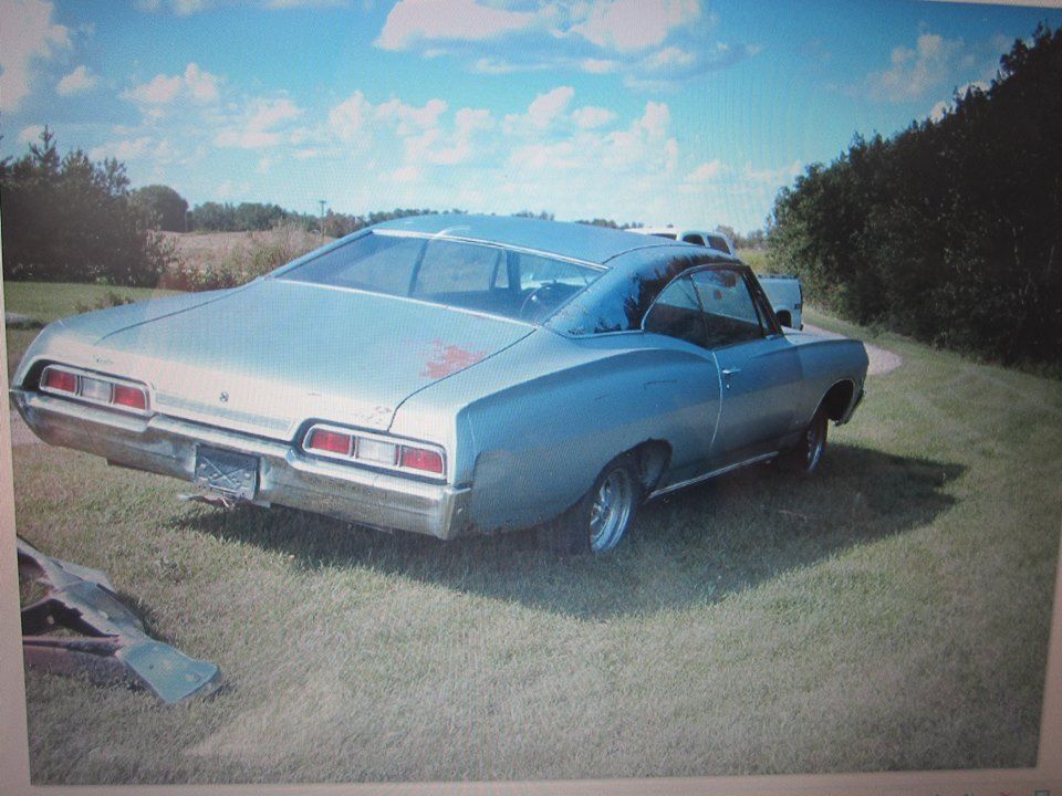 1908358_10206276573890283_76278717397030