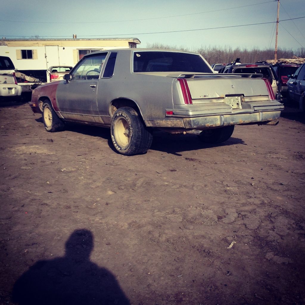 32876EA8-393A-4EF5-AE3E-0C153AC70CB5-790