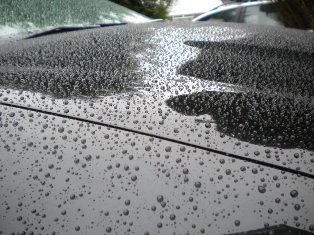 DSCN0741.jpg