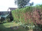 th_IMG_0810_zps7aaa1e98.jpg