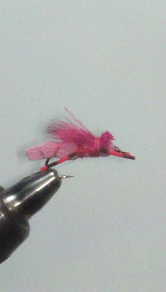pinkhopper.jpg