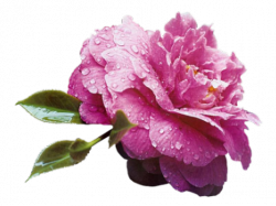  photo mod_article47379992_4ffc8d6e682a0.png