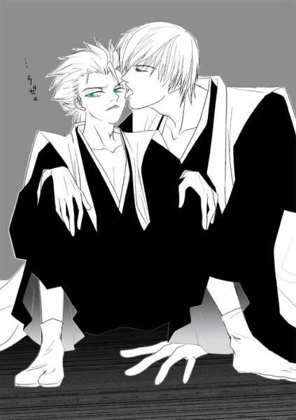 10-ginhitsu.jpg Toshiro and Gin image by Angel4864