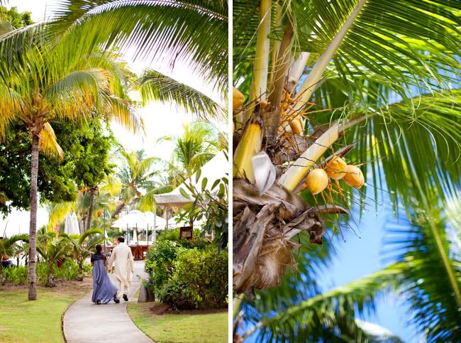 http://i892.photobucket.com/albums/ac125/lovemademedoit/Mauritius_Wedding_012.jpg?t=1323099307