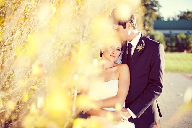 http://i892.photobucket.com/albums/ac125/lovemademedoit/PM_StellenboschWedding_027.jpg?t=1307447845