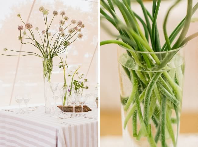 http://i892.photobucket.com/albums/ac125/lovemademedoit/welovepictures/BotanicalWedding_Decor_006.jpg?t=1335948220