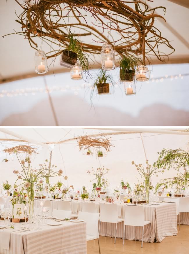 http://i892.photobucket.com/albums/ac125/lovemademedoit/welovepictures/BotanicalWedding_Decor_015.jpg?t=1335948277