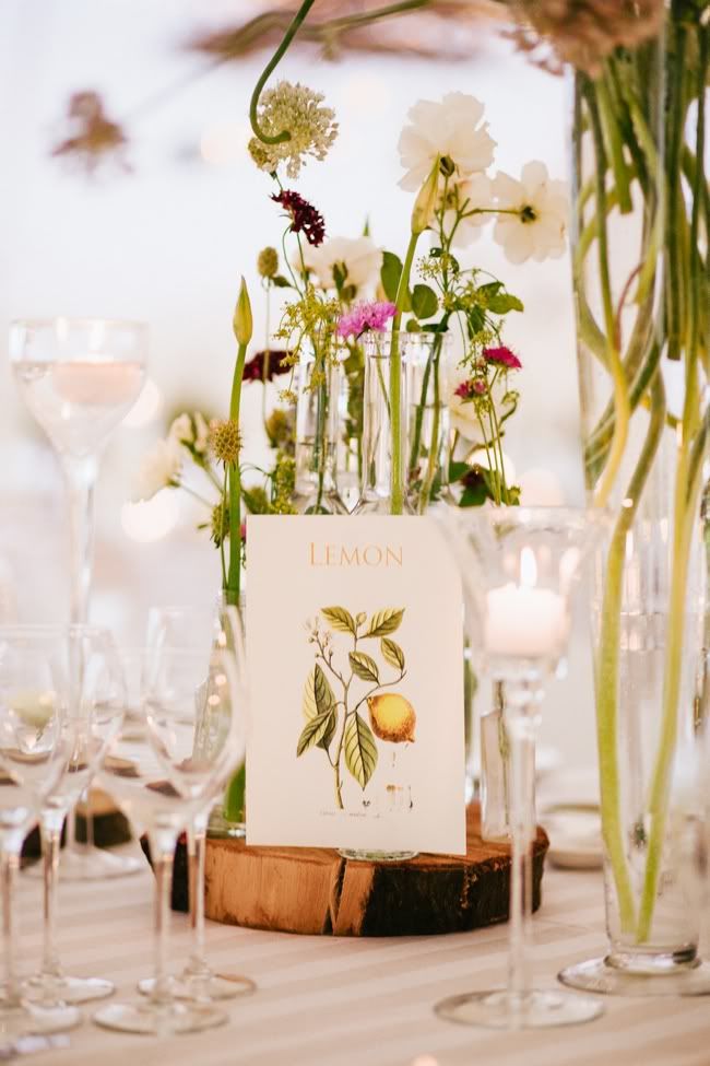 http://i892.photobucket.com/albums/ac125/lovemademedoit/welovepictures/BotanicalWedding_Decor_016.jpg?t=1335948282