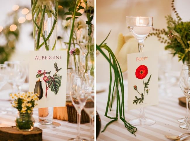 http://i892.photobucket.com/albums/ac125/lovemademedoit/welovepictures/BotanicalWedding_Decor_020.jpg?t=1335948883