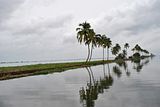 Along the shore