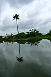 Mirror Image