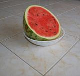 Melon Matrix