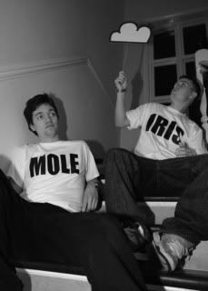mole and iris1