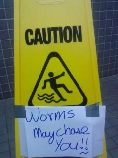 Worms.jpg