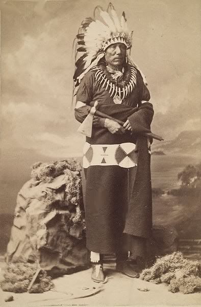 standing bear Pictures, Images and Photos